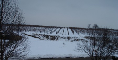 Grundstück_Winter 09/10